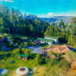 Ayahuasca Retreat