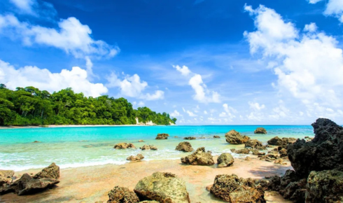 andaman holiday package