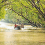 sundarban trip