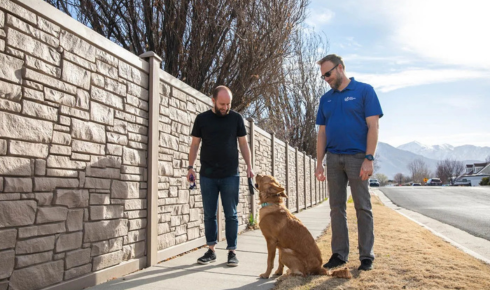 obedience practice sessions for dogs Phoenix